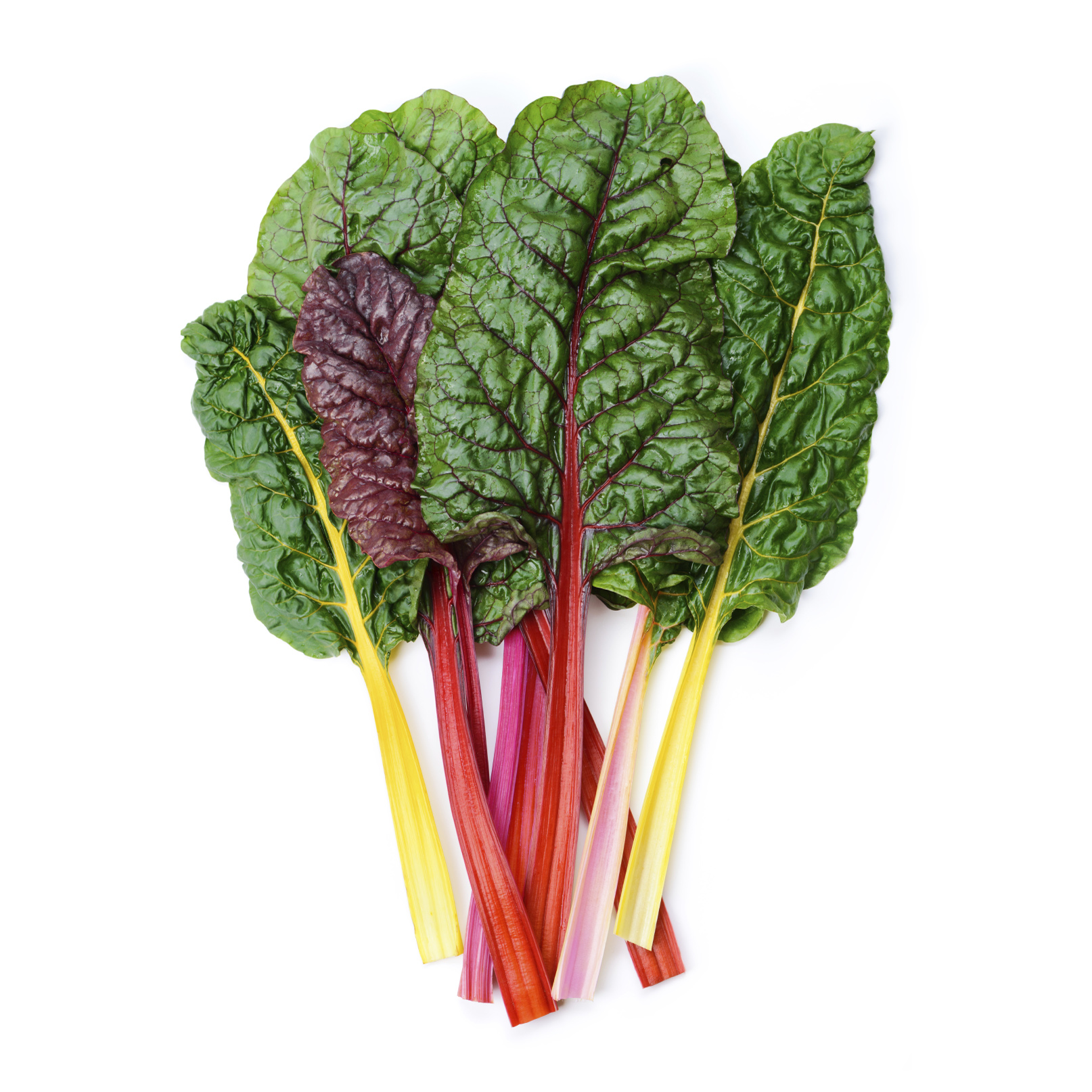 Swiss Chard - Food Library - WOW Food Library